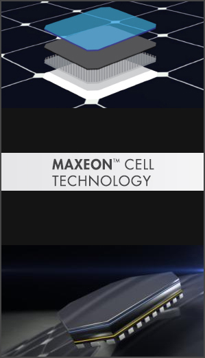 Maxeon Solar Cell Technology